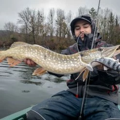 Fox Rage - Replicant Wobble -Predator shop apc 2268