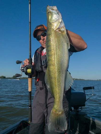 Fox Rage - Terminator Versatile Light Casting - 210cm 6' 11" 7-28g 5 Fox Rage - Terminator Versatile Light Casting - 210cm 6' 11" 7-28g - Image 5