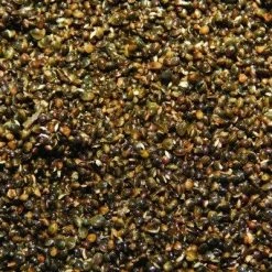 Dynamite Baits - Frenzied Bait Cans -Predator shop hemp 1 1 1