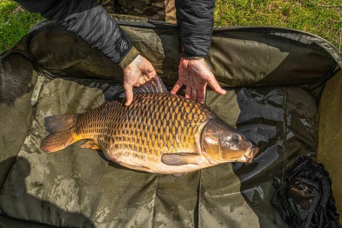 Korum - Supa Lite Fast Mat - XL 3 Korum - Supa Lite Fast Mat - XL - Image 3