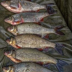 Korum - Supa Lite Fast Mat - XL 7 Korum - Supa Lite Fast Mat - XL -Predator shop k0290073 supa lite fast mat xl ls 06