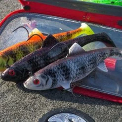 Fox Rage - Replicant Wobble -Predator shop p1011121