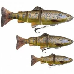 Savage Gear Savage - 4D Line Thru Trout 15cm MS 40g
