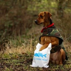 Cotswold Aquarius - Green Dog Jacket 22 Cotswold Aquarius - Green Dog Jacket -Predator shop untitled 4 1