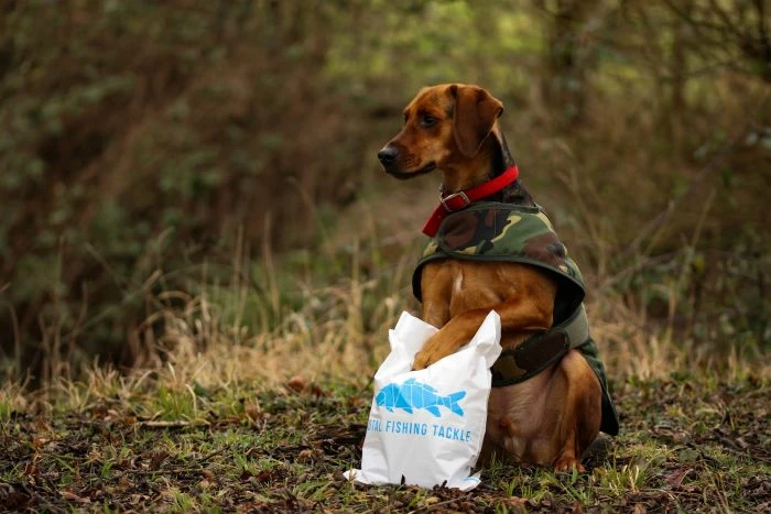 Cotswold Aquarius - Green Dog Jacket 10 Cotswold Aquarius - Green Dog Jacket - Image 10