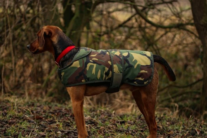 Cotswold Aquarius - Camo Dog Jacket 1 Cotswold Aquarius - Camo Dog Jacket