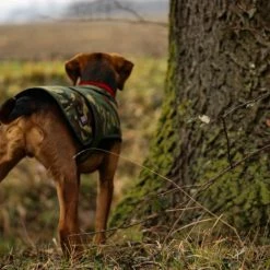 Cotswold Aquarius - Camo Dog Jacket 23 Cotswold Aquarius - Camo Dog Jacket -Predator shop untitled 6