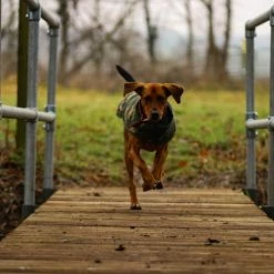 Cotswold Aquarius - Green Dog Jacket 25 Cotswold Aquarius - Green Dog Jacket -Predator shop untitled 7 1